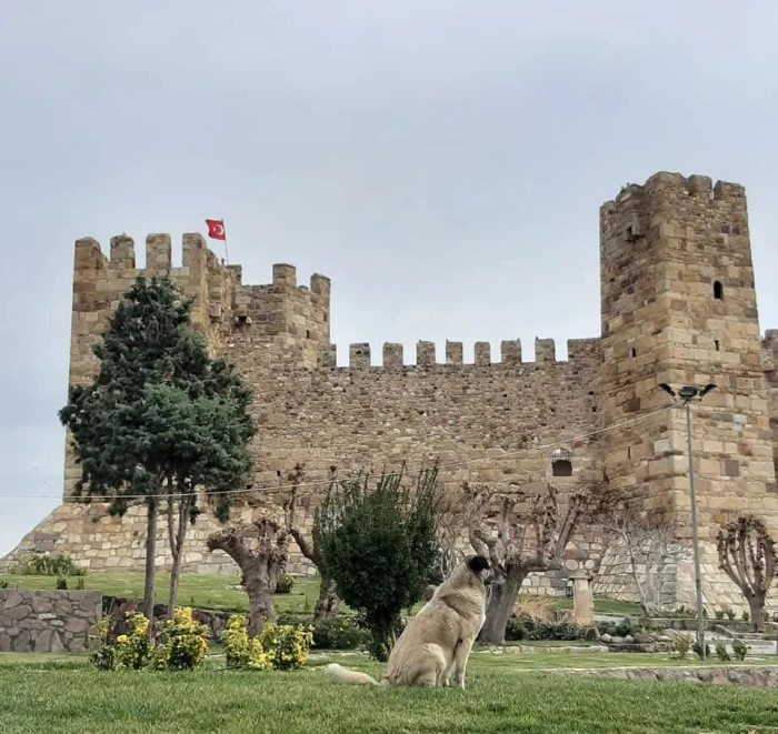 DOĞADAN ENSTANTANELER