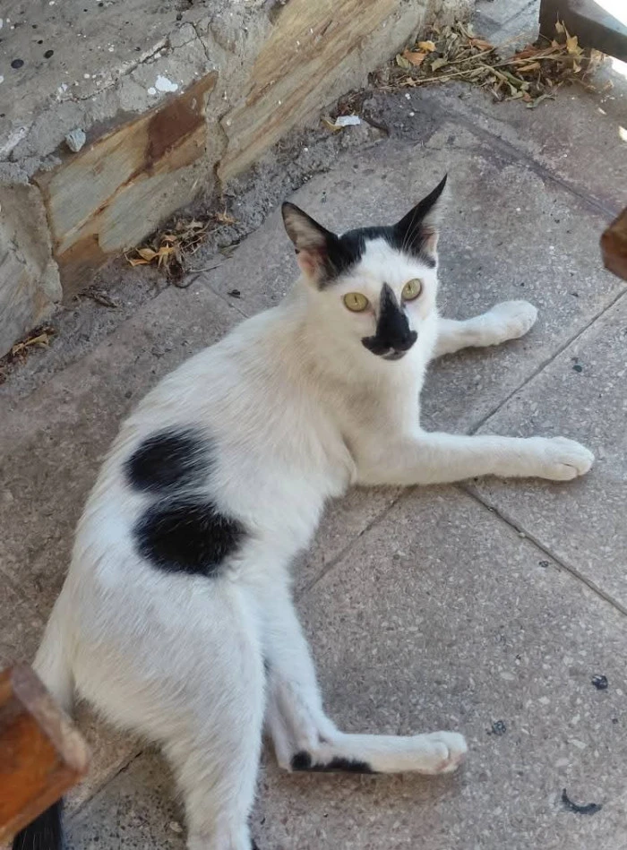 DOĞADAN ENSTANTANELER