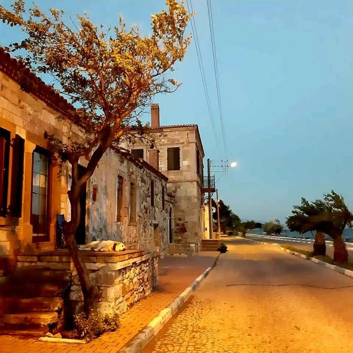 Pınar Güngör’den Doğanın Sessiz Dili – 2. Seri