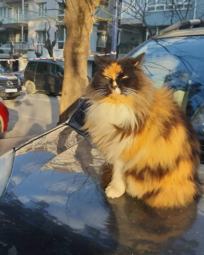 Pınar Güngör’den Doğanın Sessiz Dili – 2. Seri
