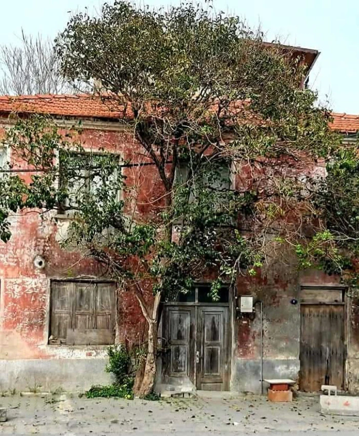Pınar Güngör’den Doğanın Sessiz Dili – 2. Seri