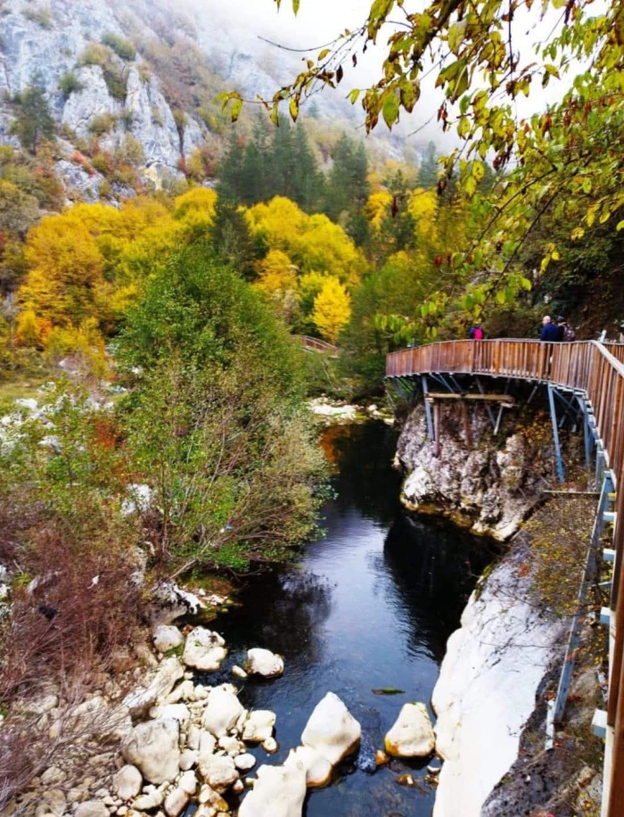 Pınar Güngör’den Doğanın Sessiz Dili – 2. Seri