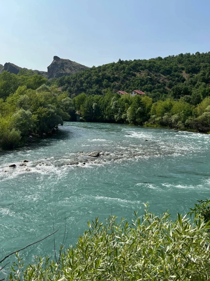 Pınar Güngör’den Doğanın Sessiz Dili – 2. Seri
