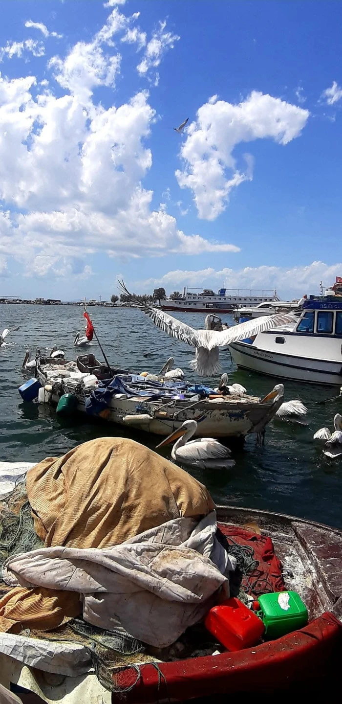 Pınar Güngör’den Doğanın Sessiz Dili – 2. Seri