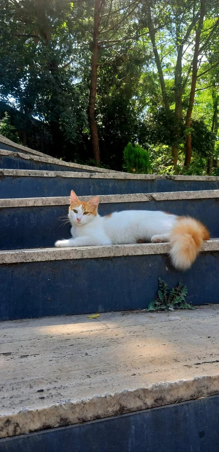 Pınar Güngör’den Doğanın Sessiz Dili – 2. Seri