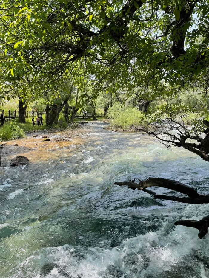 Pınar Güngör’den Doğanın Sessiz Dili – 2. Seri