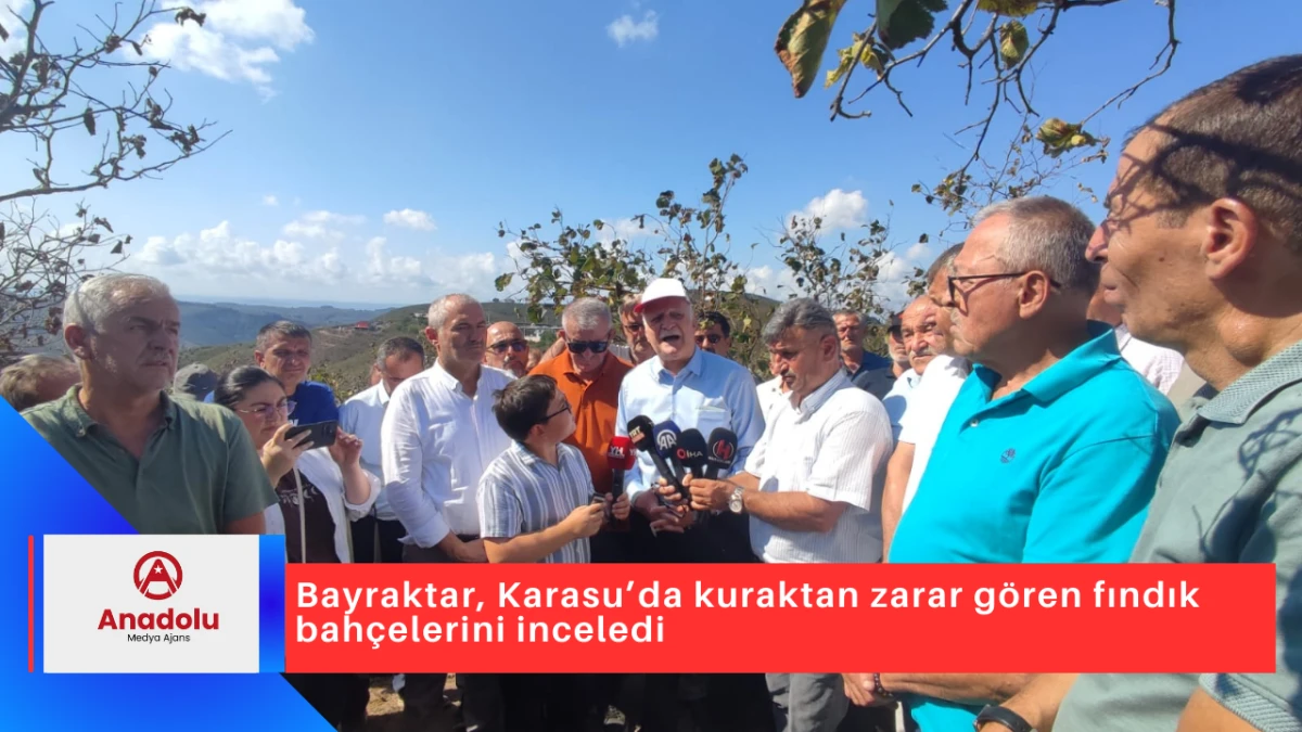 Bayraktar, Karasu’da kuraktan zarar gören fındık bahçelerini inceledi
