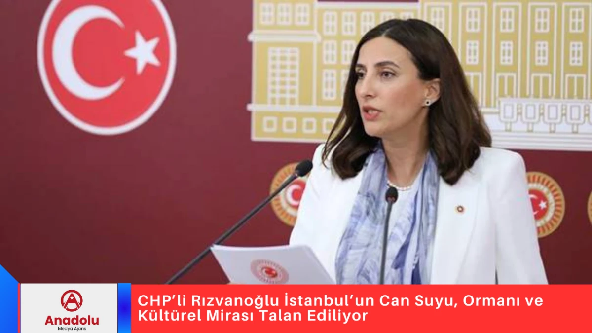 CHP&rsquo;li Rızvanoğlu İstanbul&rsquo;un Can Suyu, Ormanı ve K&uuml;lt&uuml;rel Mirası Talan Ediliyor