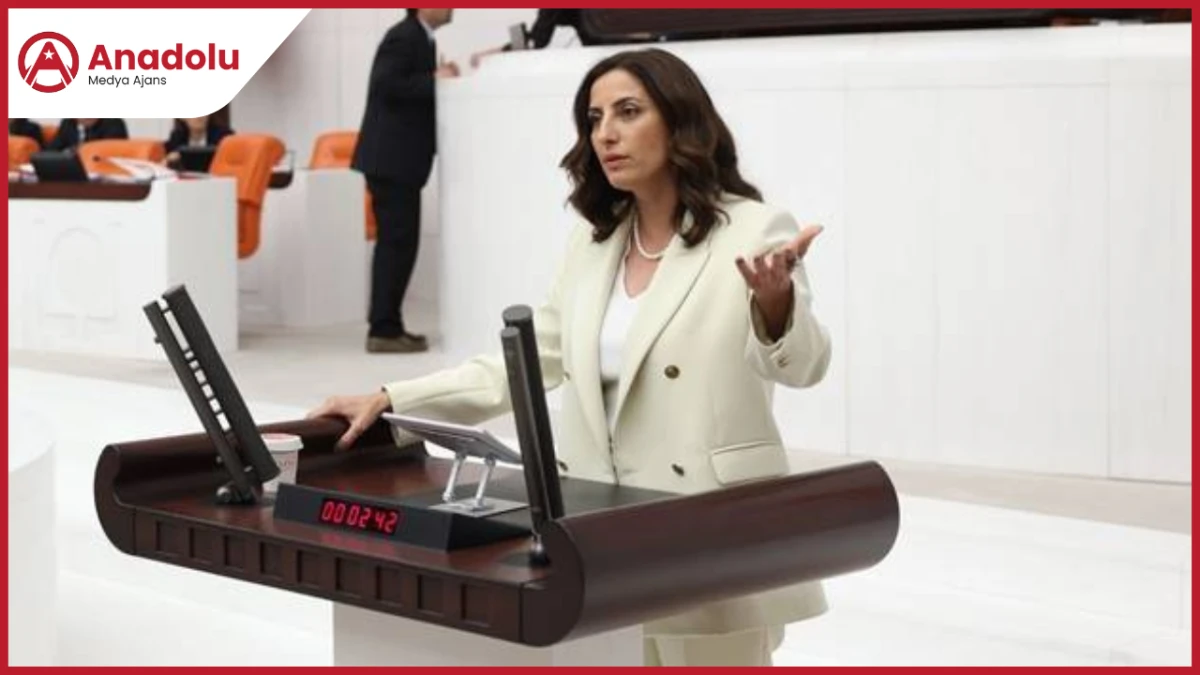 DEVA Partili Rızvanoğlu : “İktidar İklim Kanununun iletişimini de yönetişimini de yapamadı”