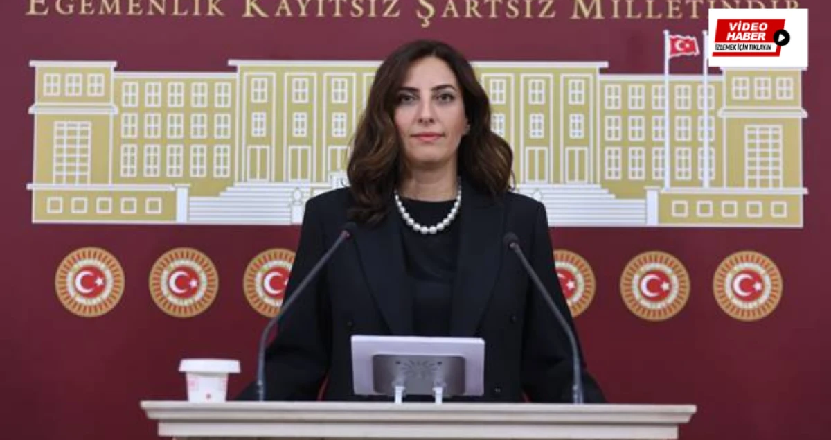Evrim Rızvanoğlu: ''Türk Hava Kurumu fiilen tasfiye ediliyor''