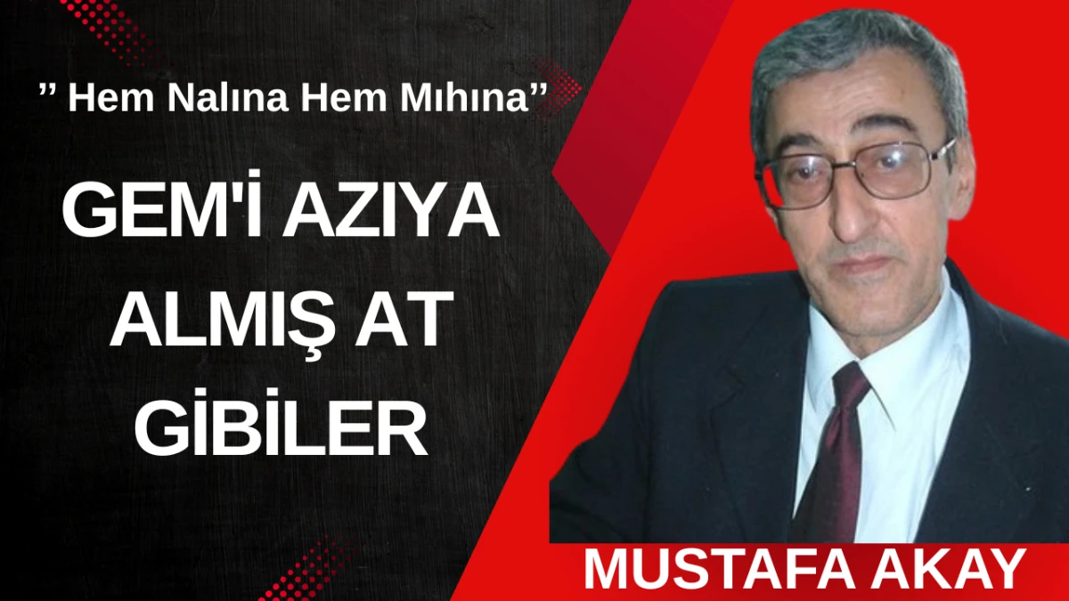 GEM'İ AZIYA ALMIŞ AT GİBİLER