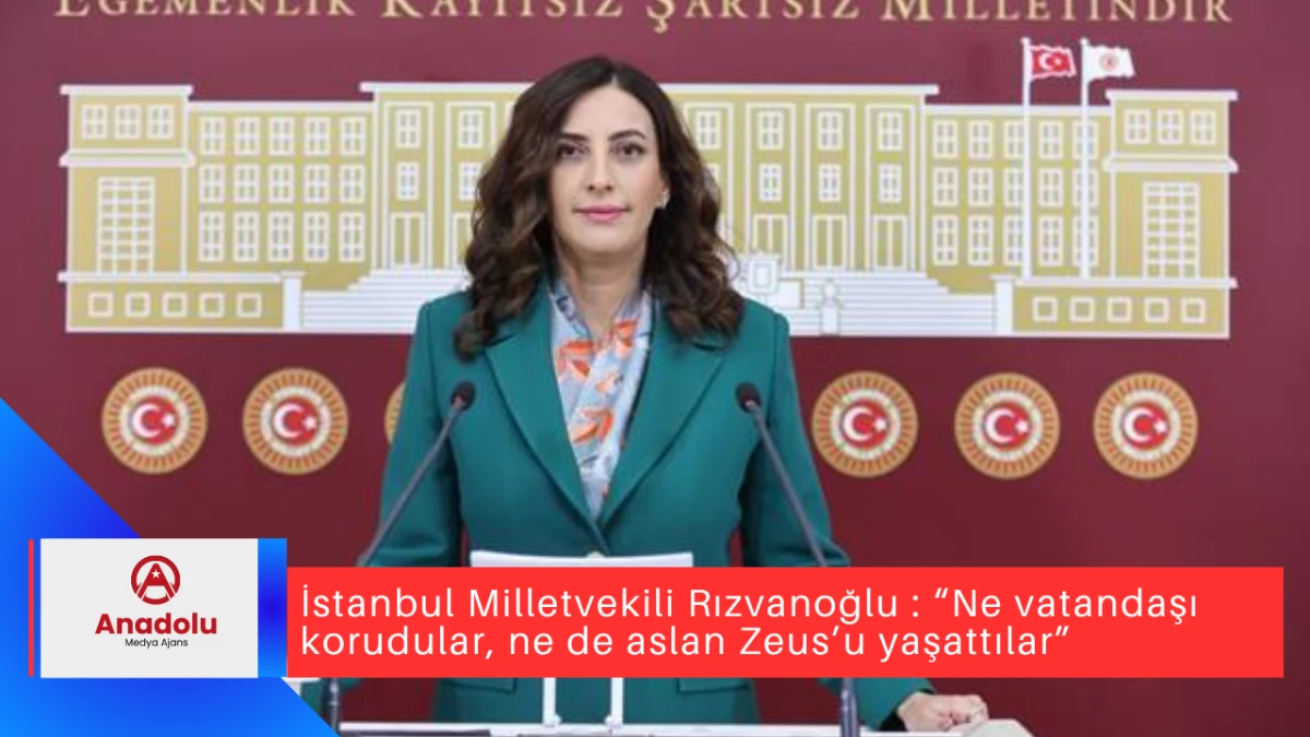 İstanbul Milletvekili Rızvanoğlu : “Ne vatandaşı korudular, ne de aslan Zeus’u yaşattılar”