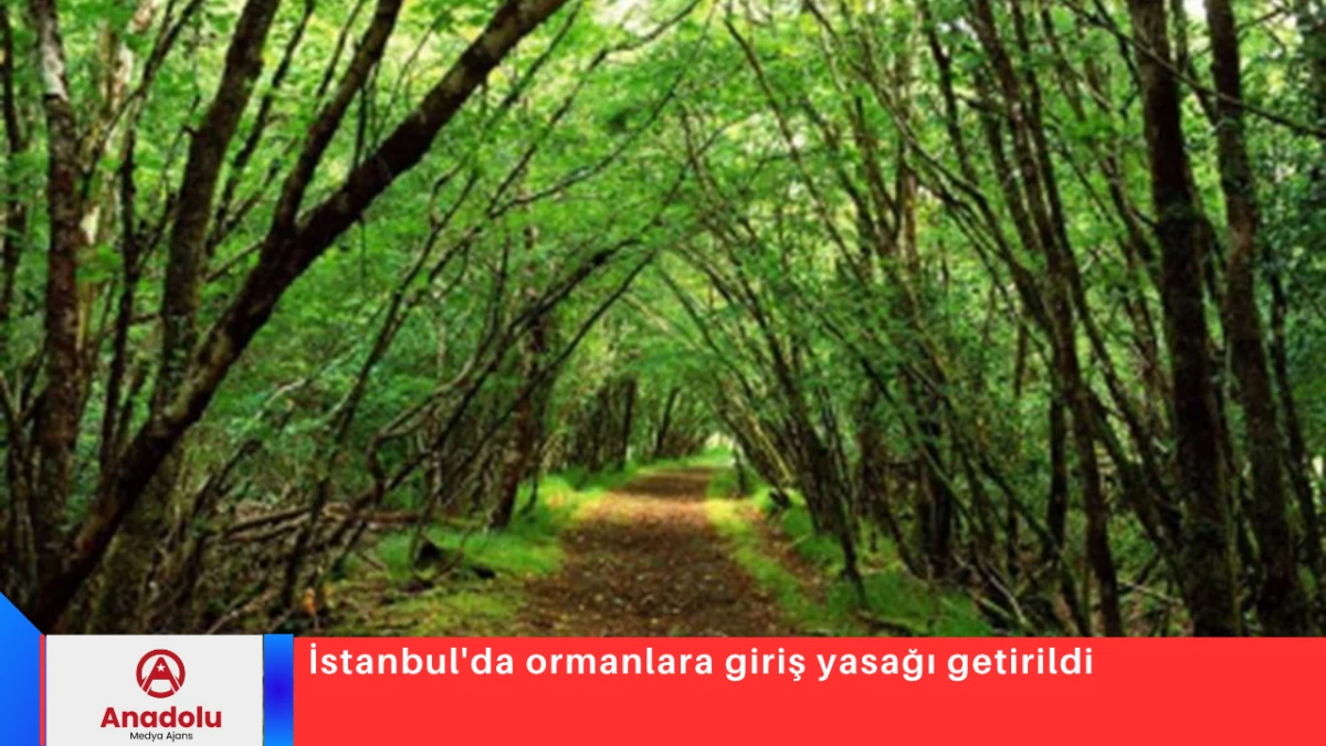 İstanbul'da ormanlara giriş yasağı getirildi