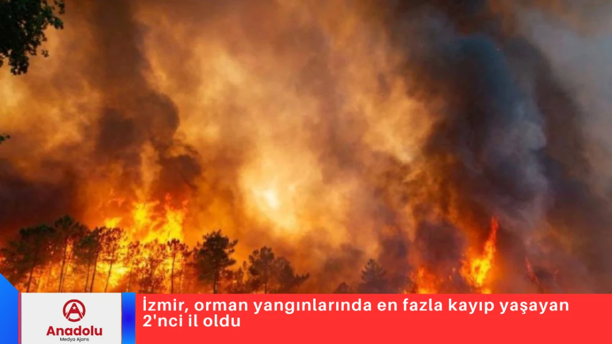 İzmir, orman yangınlarında en fazla kayıp yaşayan 2'nci il oldu