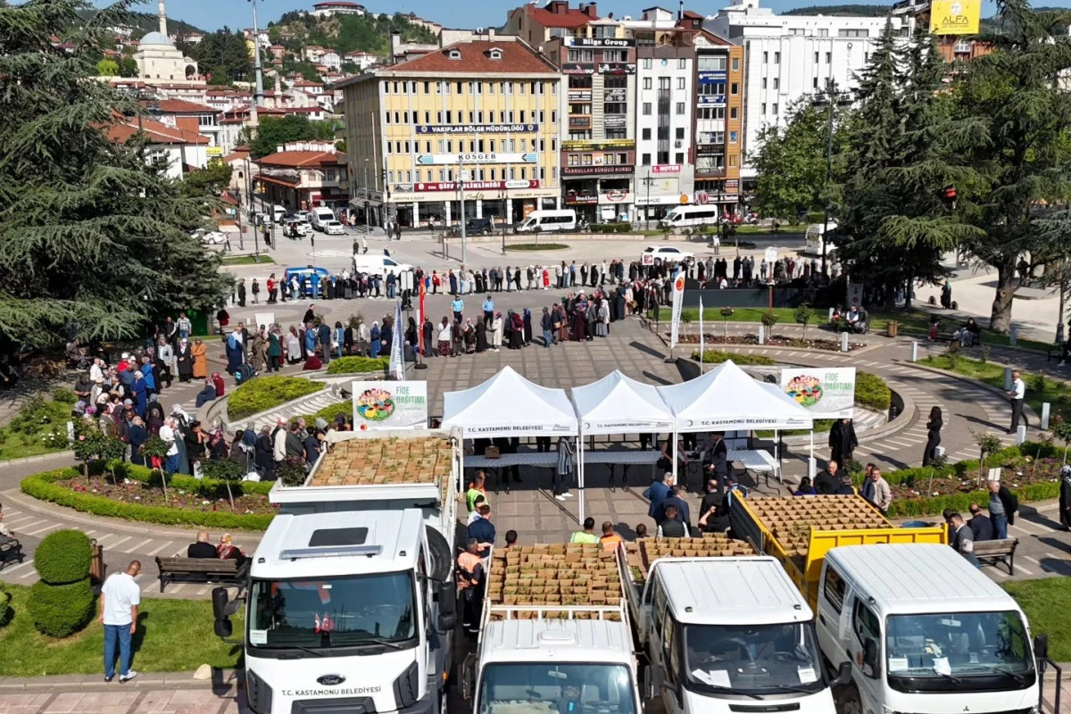 Kastamonu Belediyesi  50 bin adet fide dağıttı