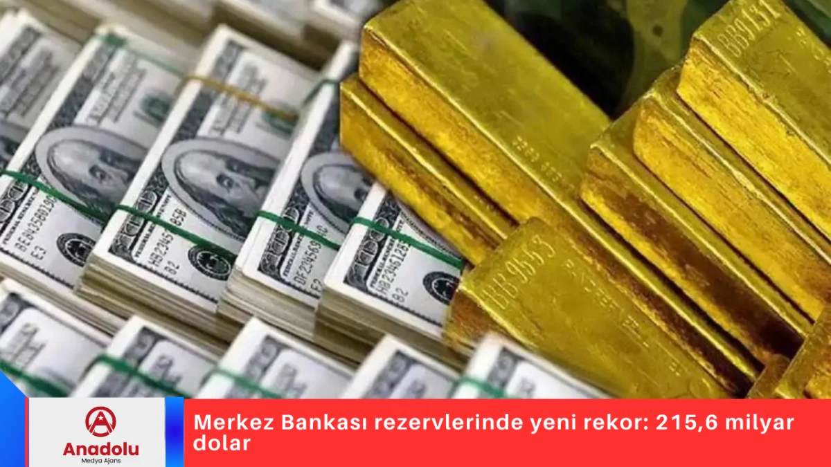 Merkez Bankası rezervlerinde yeni rekor: 215,6 milyar dolar