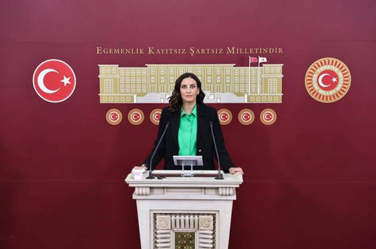 Milletvekili Rızvanoğlu: 