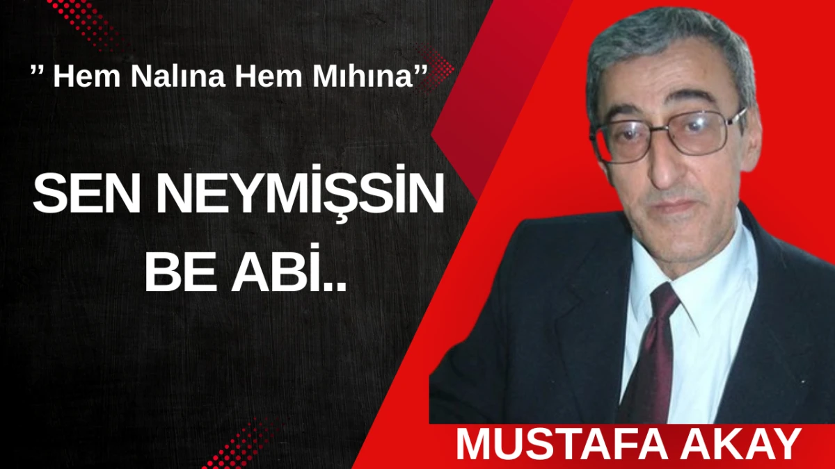 SEN  NEYMİŞSİN BE ABİ..