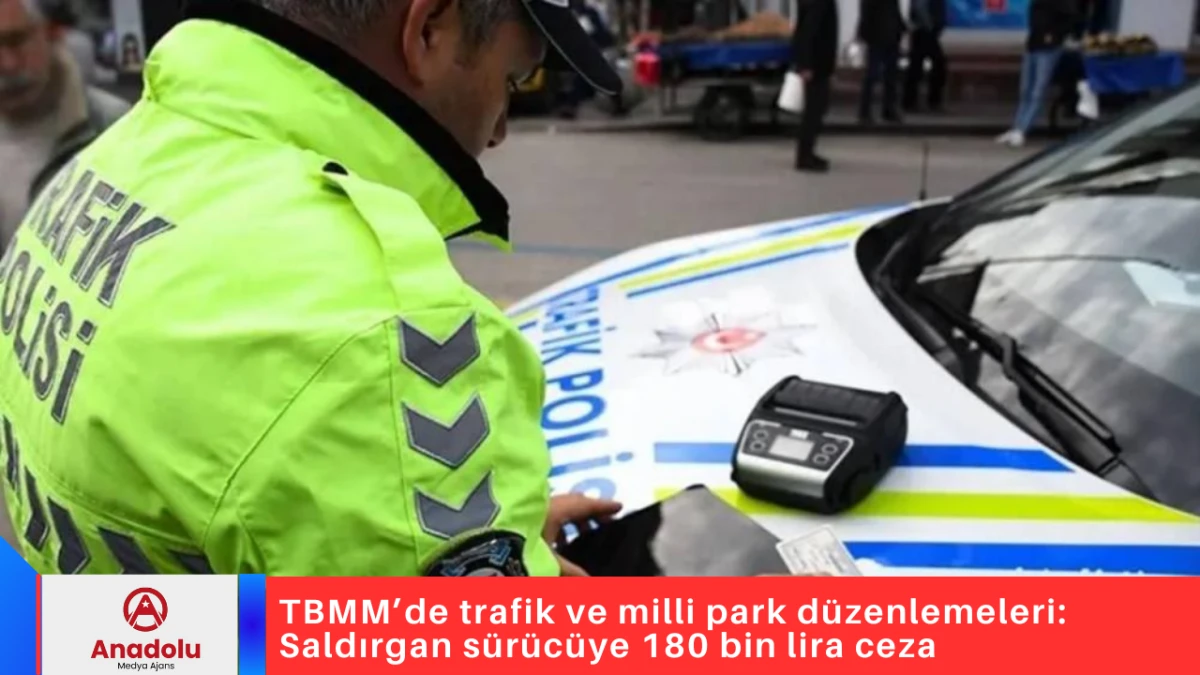 TBMM&rsquo;de trafik ve milli park d&uuml;zenlemeleri: Saldırgan s&uuml;r&uuml;c&uuml;ye 180 bin lira ceza