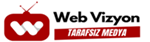 Web Vizyon